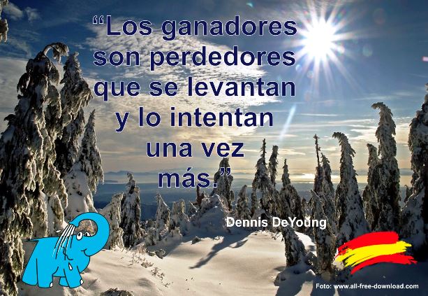 Los ganadores son perdedores que se levantan y lo intentan una vez más.